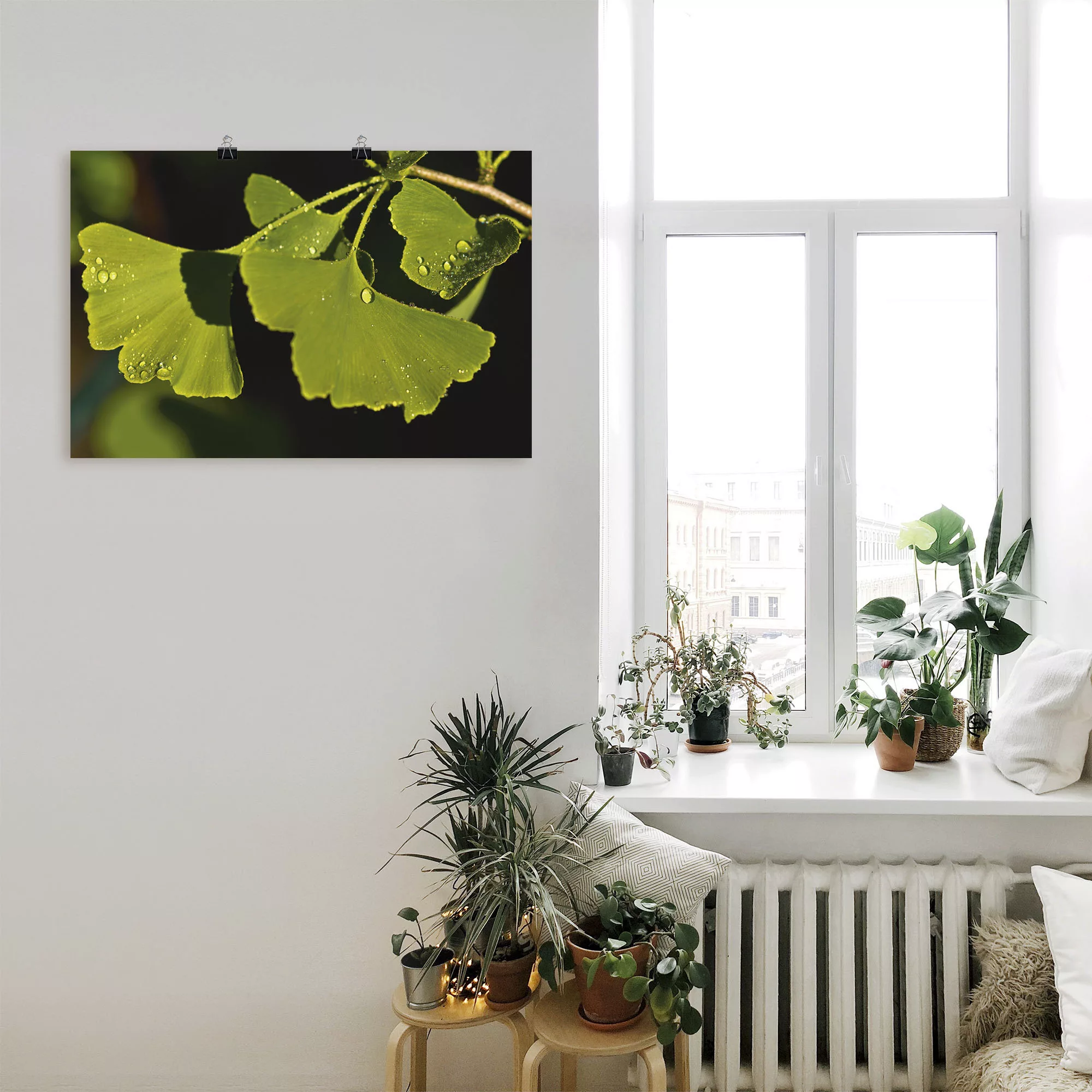 Artland Wandbild "Ginkgo Blätter", Blätter, (1 St.), als Alubild, Outdoorbi günstig online kaufen