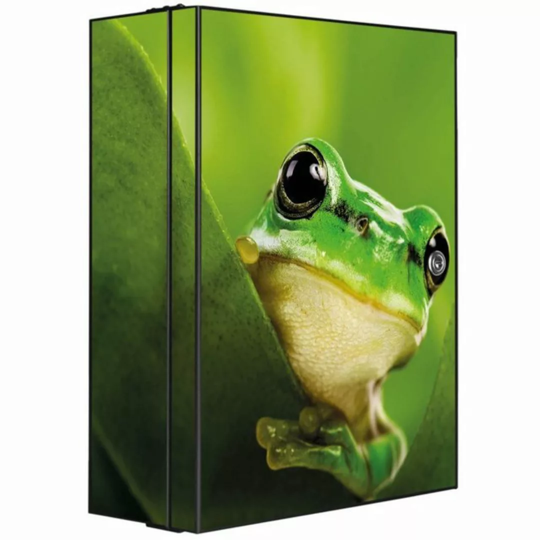 banjado Medizinschrank Stahl Frosch (abschließbar, 3 große und 2 kleine Fäc günstig online kaufen