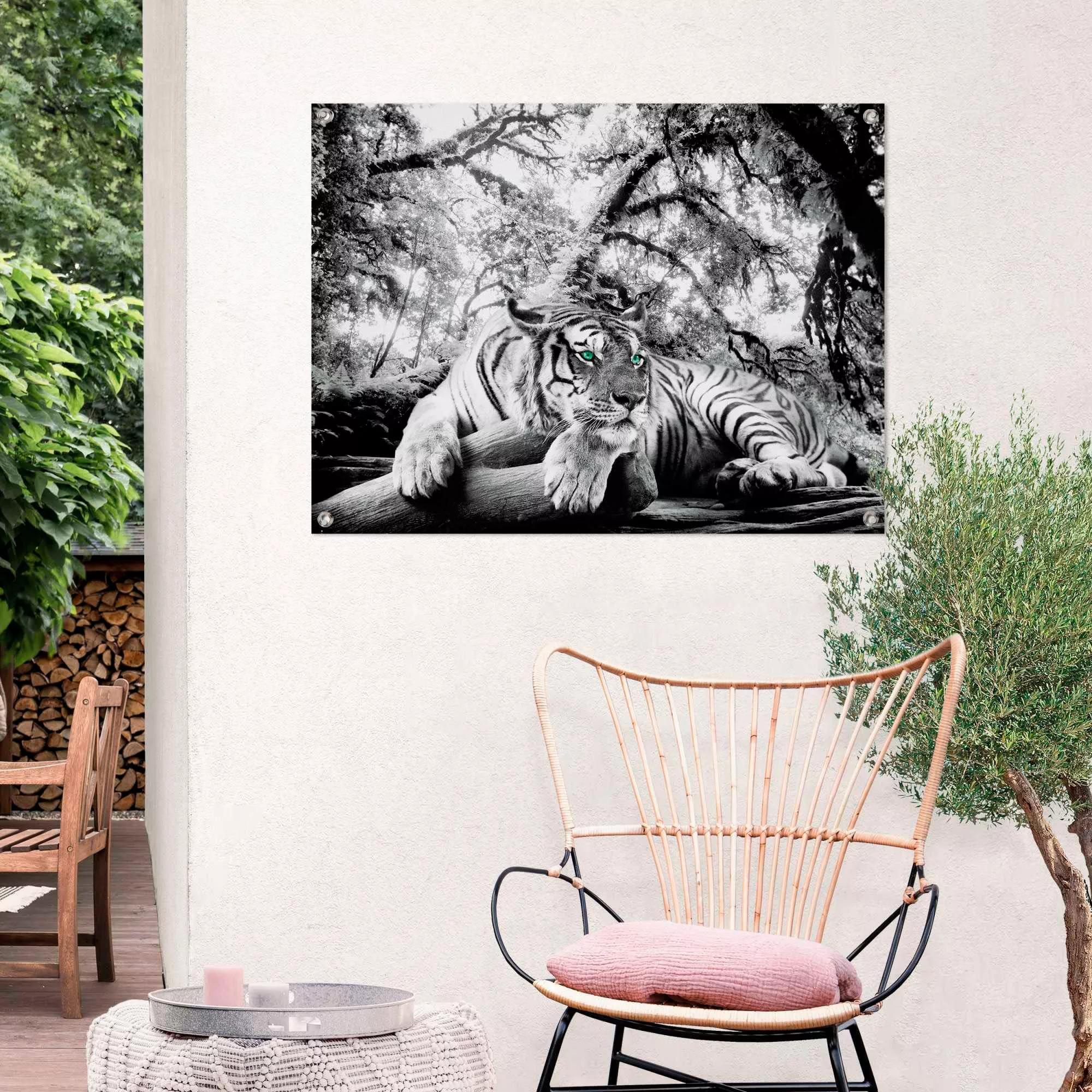 Reinders Poster "Tigerblick" günstig online kaufen