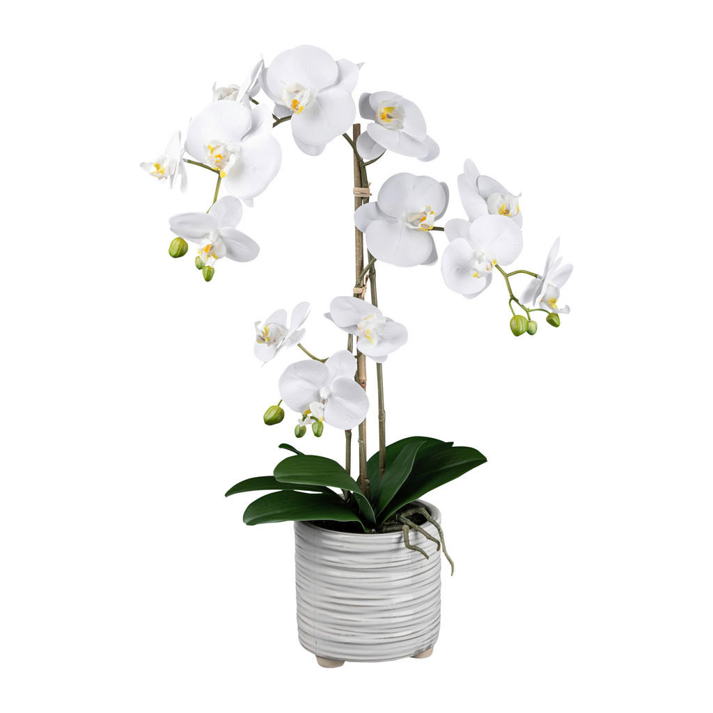 Kunstpflanze Phalaenopsis weiß Kunststoff B/H/L: ca. 19x59x19 cm günstig online kaufen