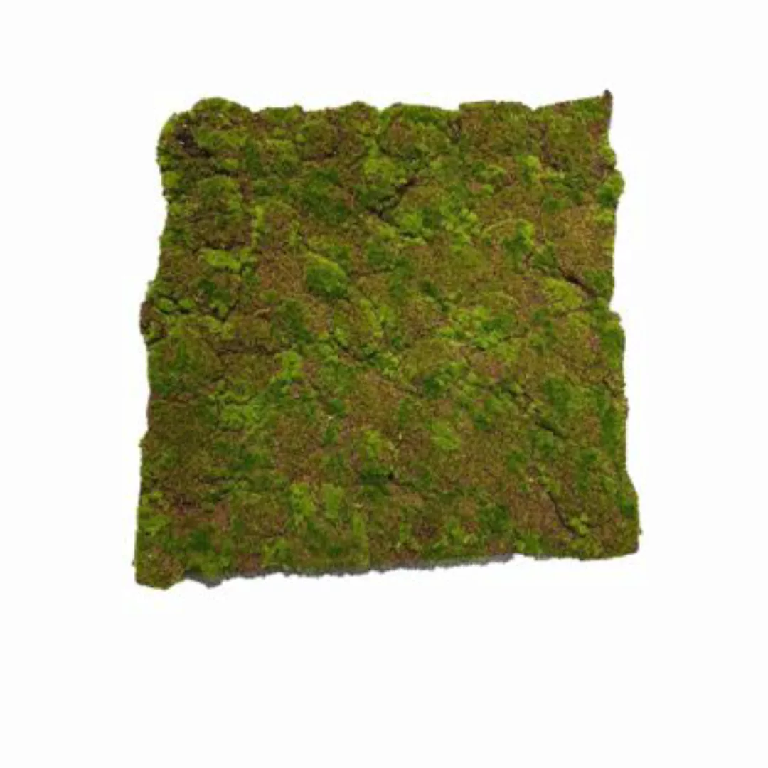 HTI-Living Moosmatte Braun-Grün 50 x 50 cm Kunstpflanze Flora grün günstig online kaufen