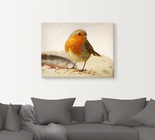 Artland Wandbild "Rotkehlchen", Vögel, (1 St.), als Leinwandbild, Wandaufkl günstig online kaufen