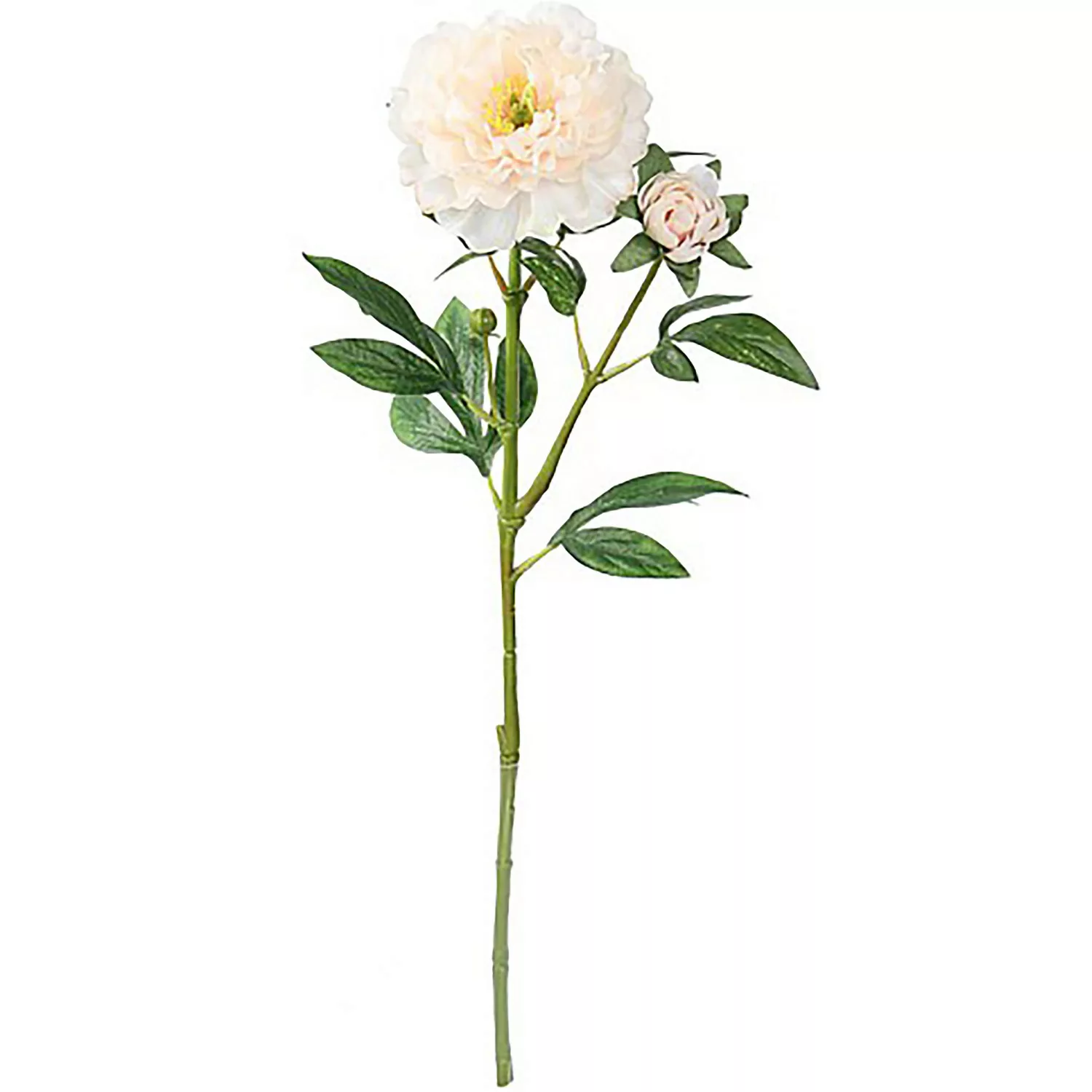 Mica Decorations Peonie Lachs 58 cm günstig online kaufen