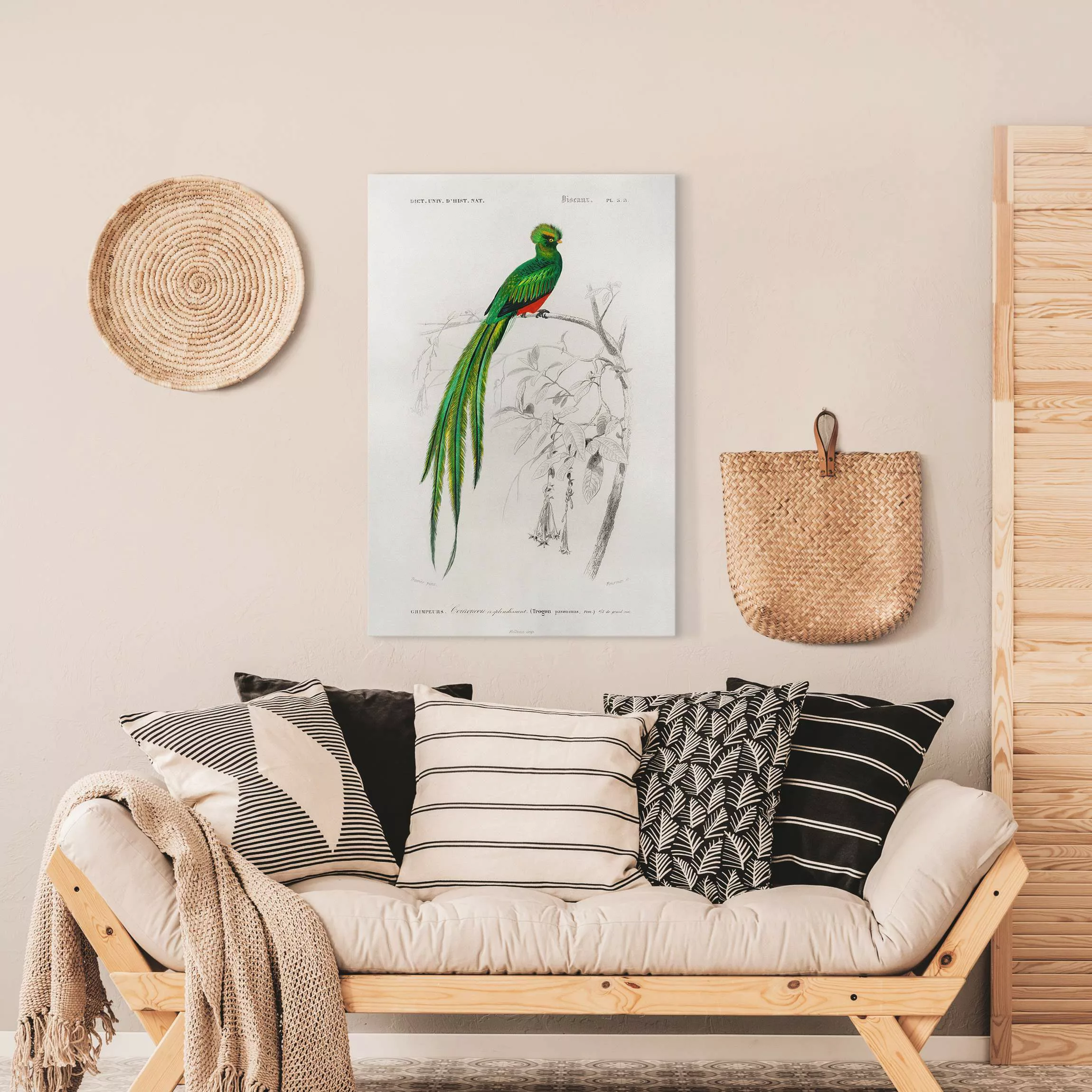 Leinwandbild Vintage Lehrtafel Tropischer Vogel I günstig online kaufen