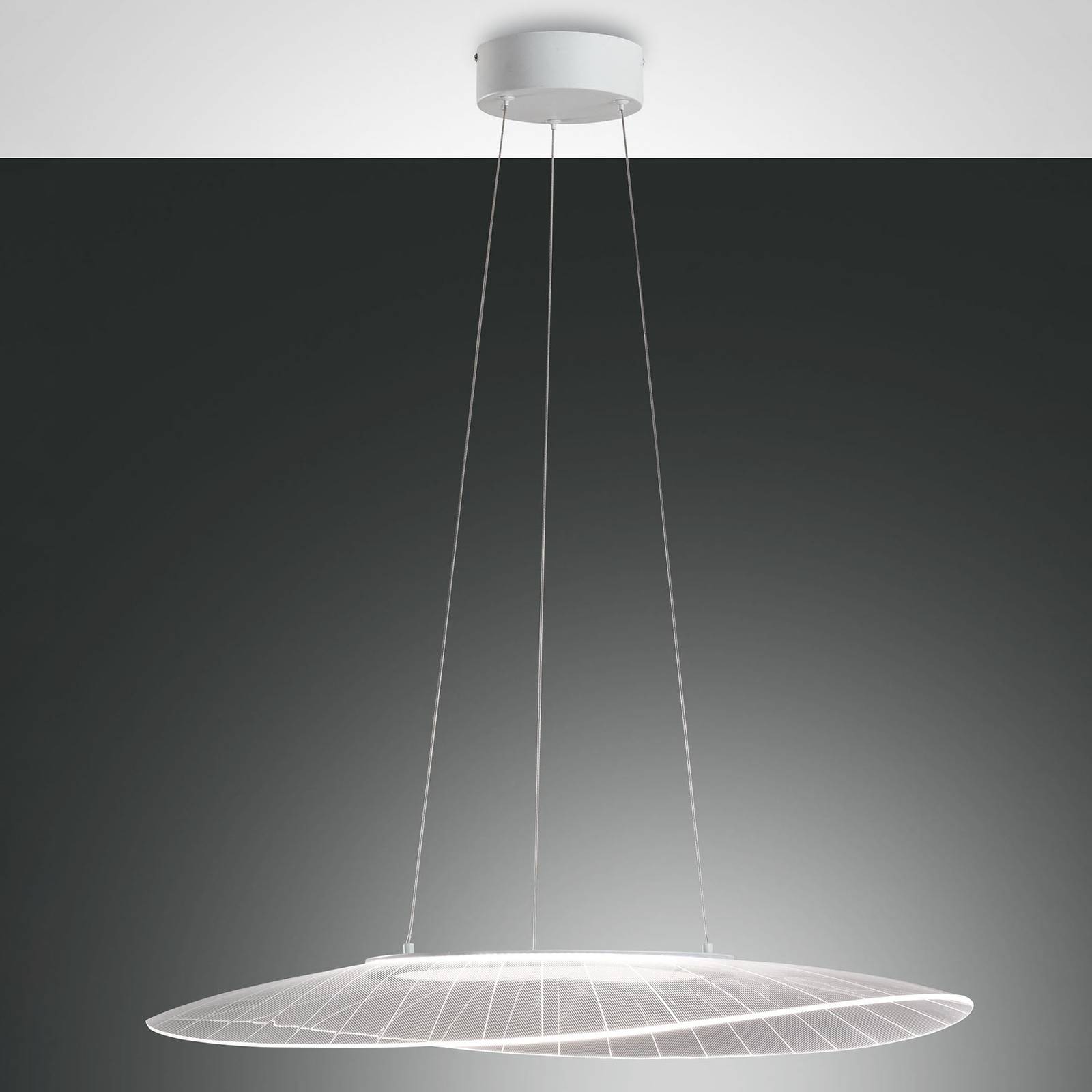 LED-Hängeleuchte Vela, weiß, oval, 78 cm x 55 cm günstig online kaufen