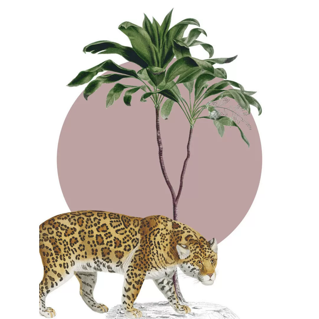 Komar Wandbild "Botanical Garden Jaguar", (1 St.), Deutsches Premium-Poster günstig online kaufen