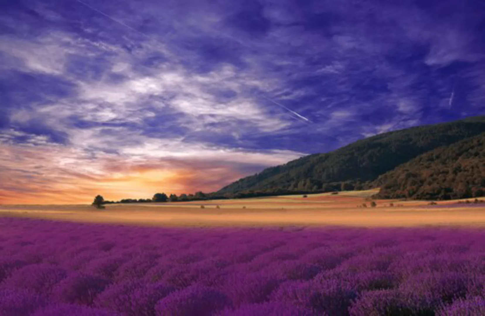 Papermoon Fototapete »PANORAMA-LANDSCHAFT VIOLETT GEBIRGE WIESE FELD LAVEND günstig online kaufen