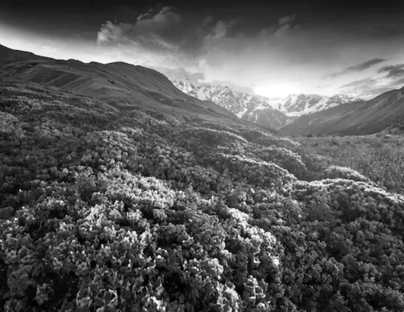 Papermoon Fototapete »Landschaft schwarz & weiß« günstig online kaufen