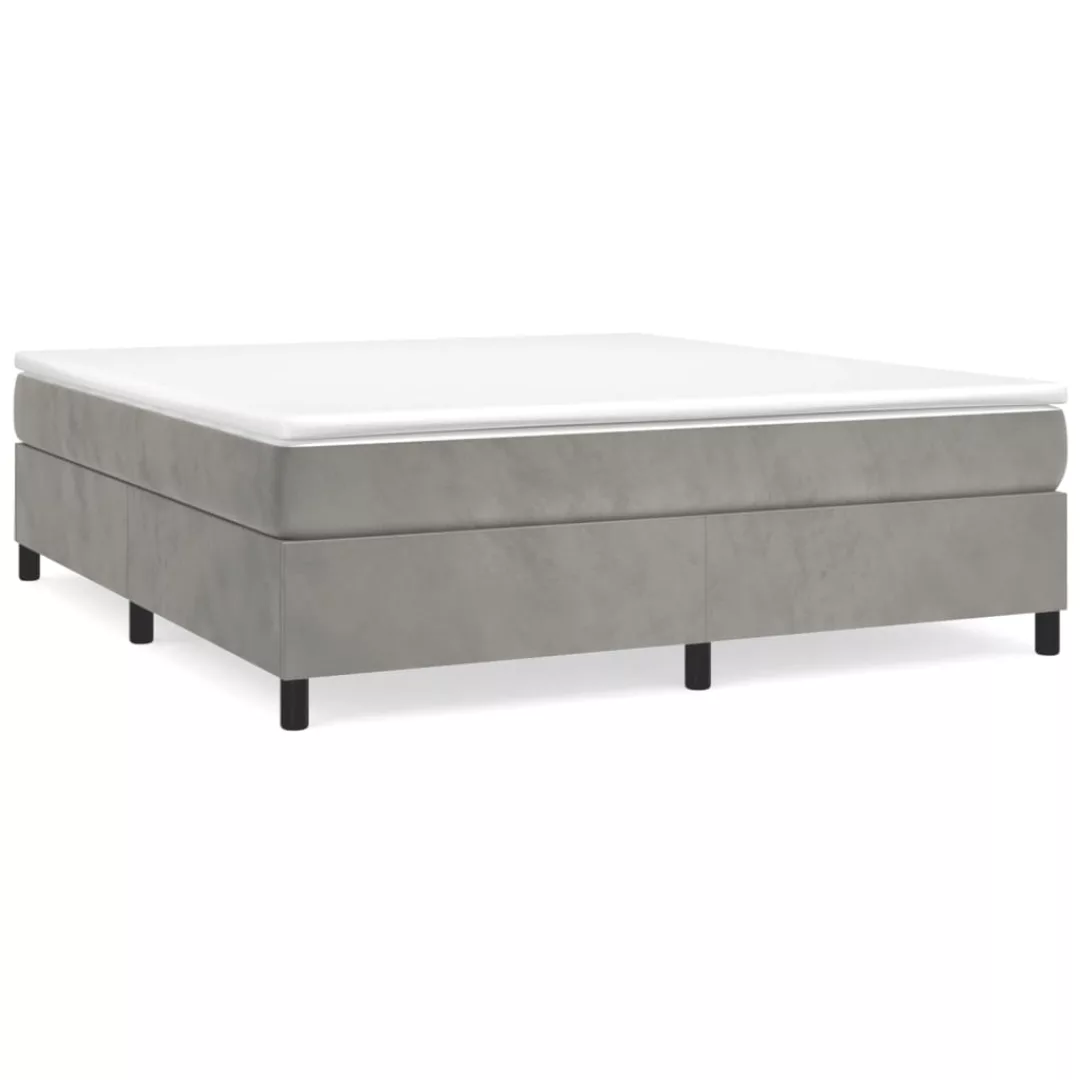 Vidaxl Boxspringbett Hellgrau 200x200 Cm Samt günstig online kaufen