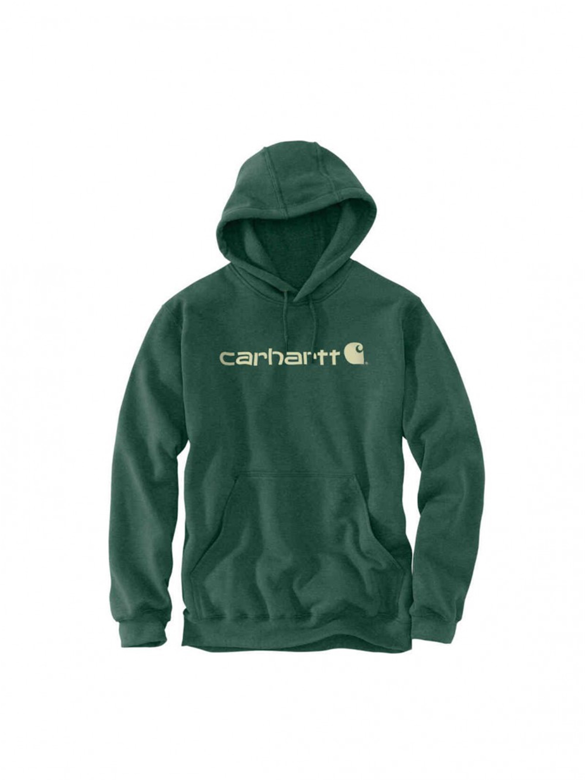 CARHARTT Hoodies Herren grün günstig online kaufen