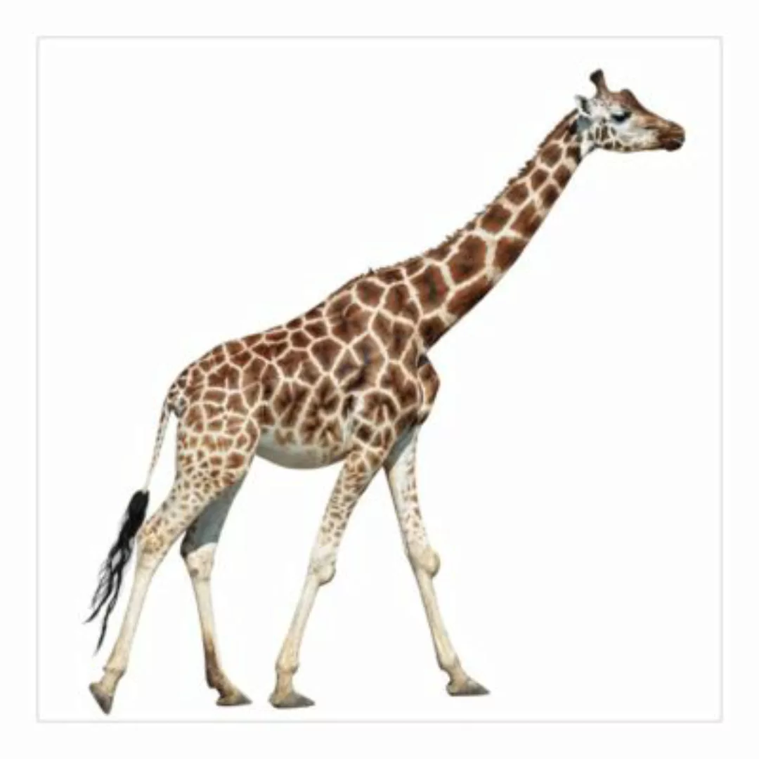 Bilderwelten Kindertapete Laufende Giraffe braun Gr. 336 x 336 günstig online kaufen
