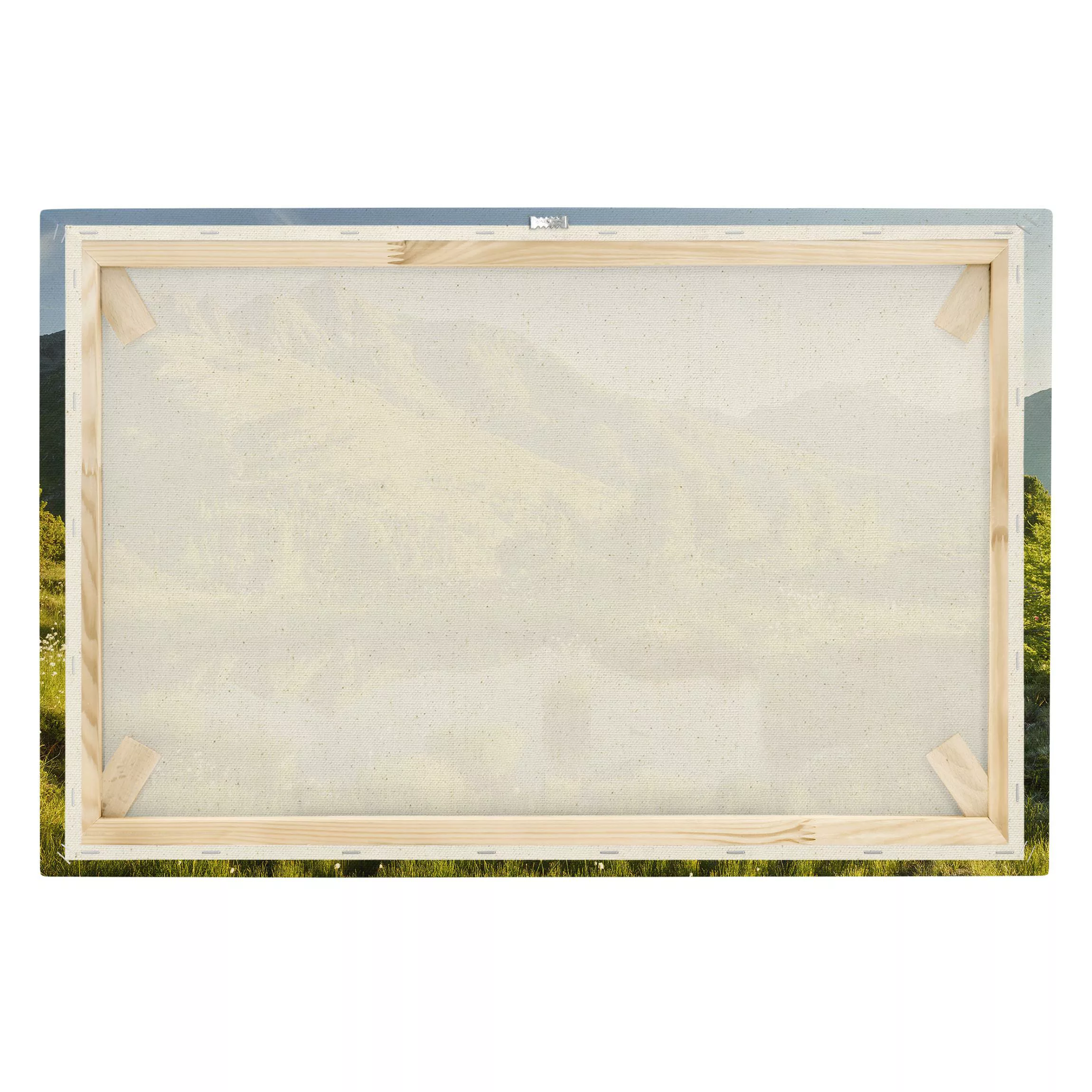 Leinwandbild auf Canvas Natural Blick vom Hirschbichl ins Defereggental günstig online kaufen