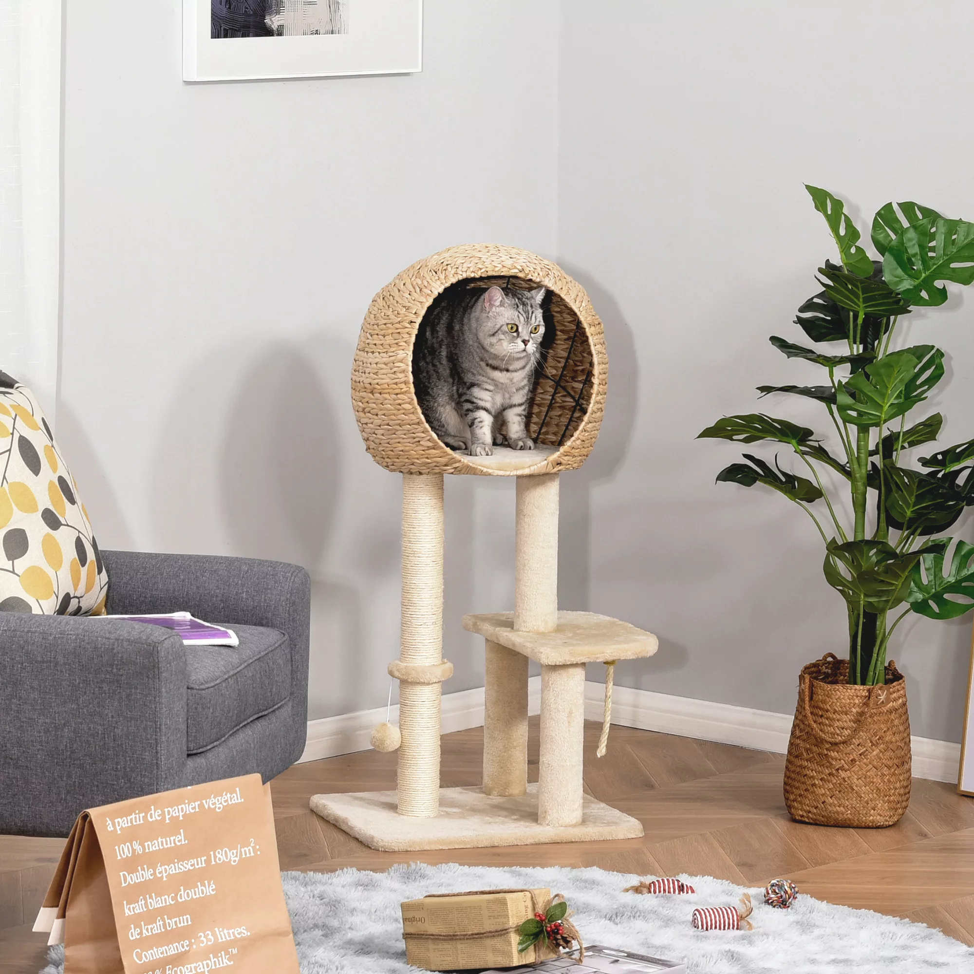 PawHut Katzenbaum Kratzbaum  Kätzchen Möbel mit Katzenhöhle, Ballspielzeug, günstig online kaufen