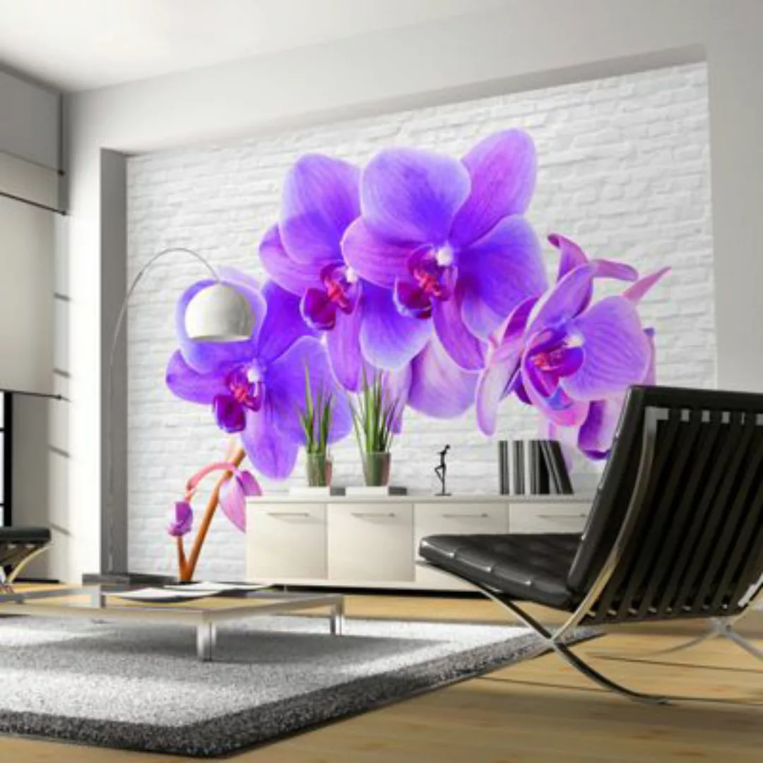 artgeist Fototapete Violet excitation mehrfarbig Gr. 150 x 105 günstig online kaufen