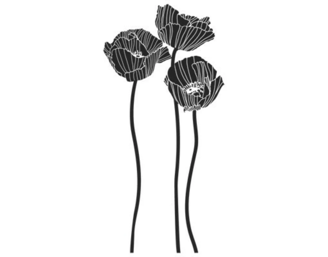 Wandtattoo Blumen No.UL87 Mohnblumengruppe günstig online kaufen