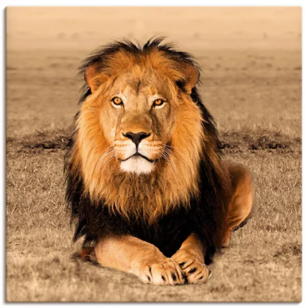 Artland Wandbild »Löwe«, Wildtiere, (1 St.) günstig online kaufen