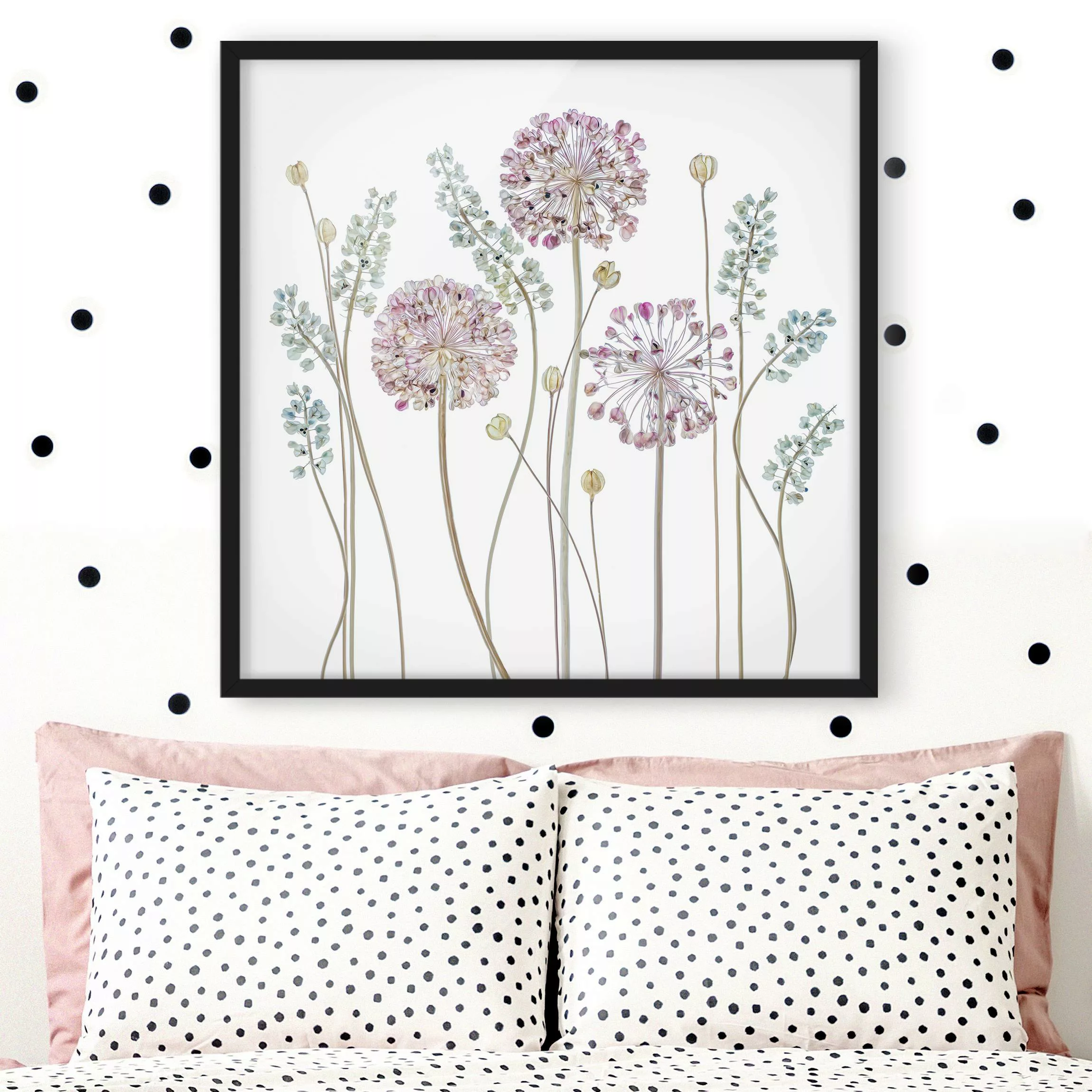 Bild mit Rahmen Blumen - Quadrat Allium Illustration günstig online kaufen