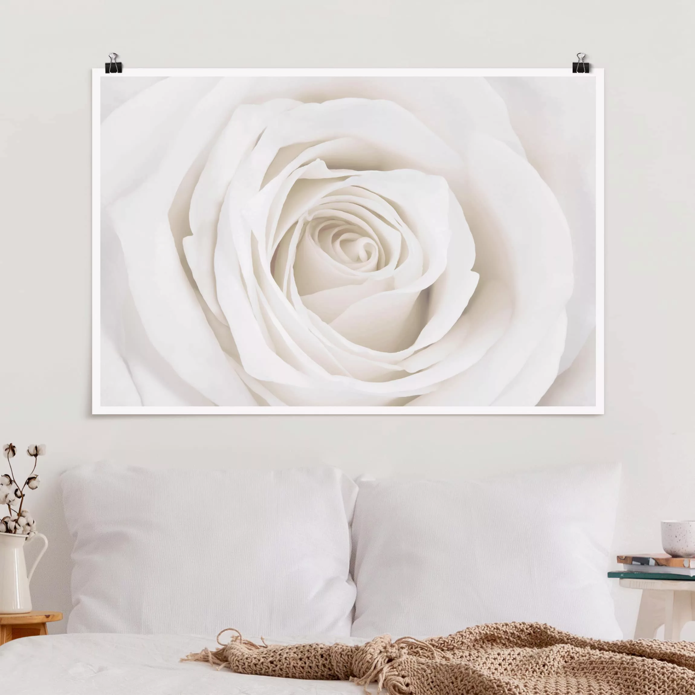 Poster Blumen - Querformat Pretty White Rose günstig online kaufen