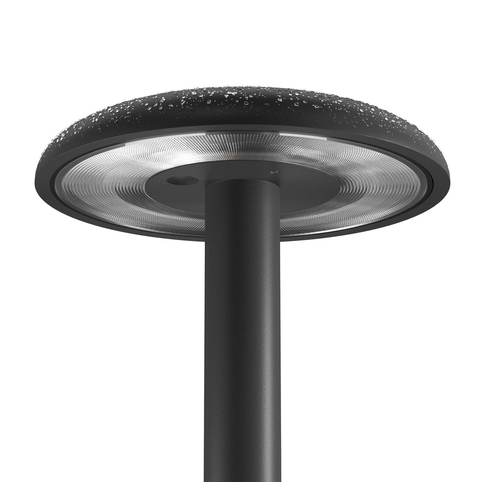 FLOS Gustave LED-Tischleuchte, Akku 3.000K schwarz günstig online kaufen