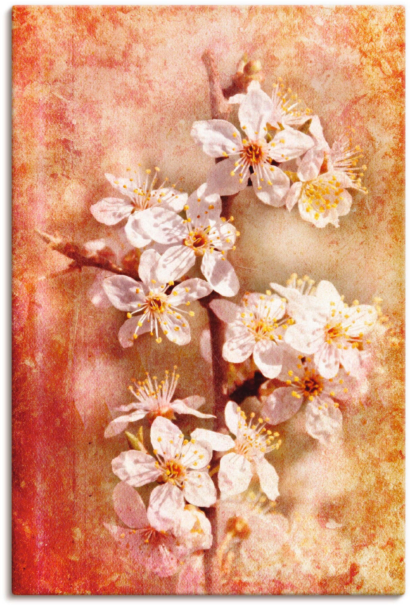 Artland Wandbild "Kirschblüten", Blumen, (1 St.), als Leinwandbild, Poster günstig online kaufen