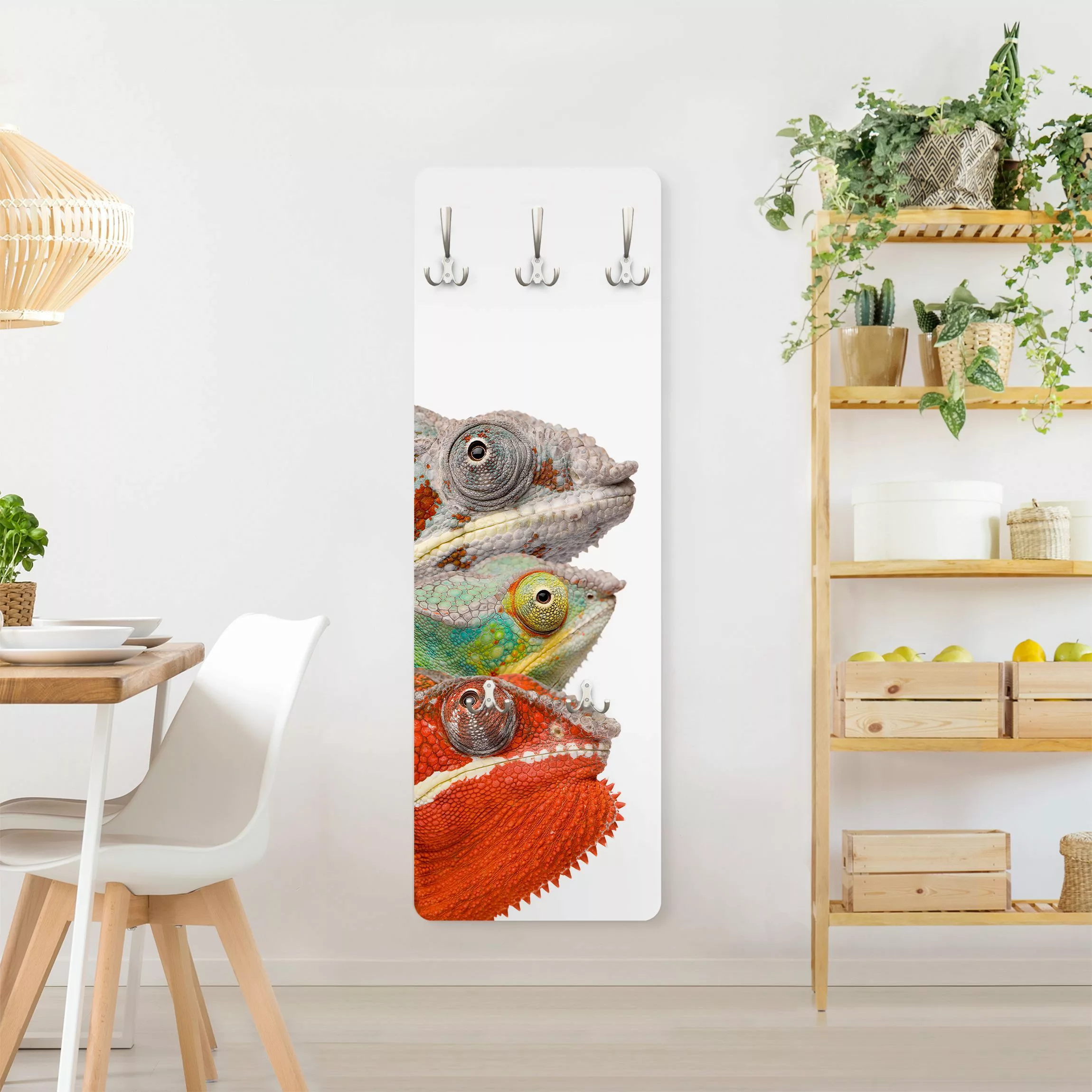 Wandgarderobe Holzpaneel Tiere Colourful Chameleon günstig online kaufen