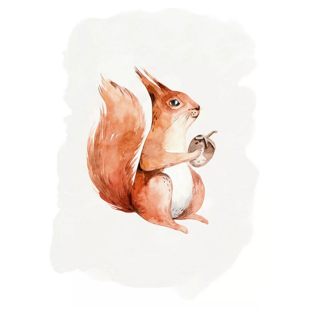 Komar Wandbild Hungry Squirrel Eichhörnchen B/L: ca. 40x50 cm günstig online kaufen