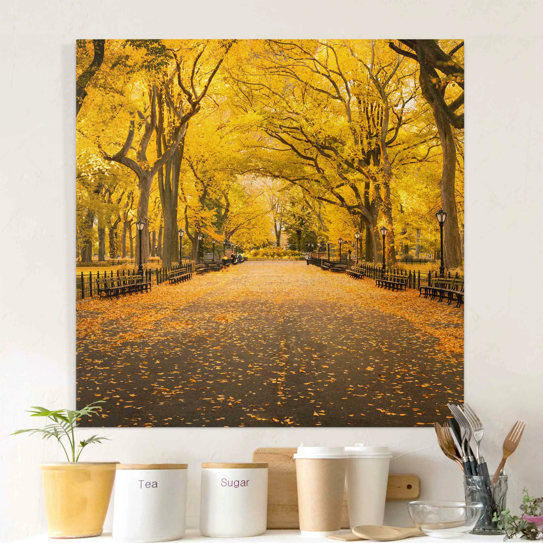 Leinwandbild Herbst im Central Park günstig online kaufen