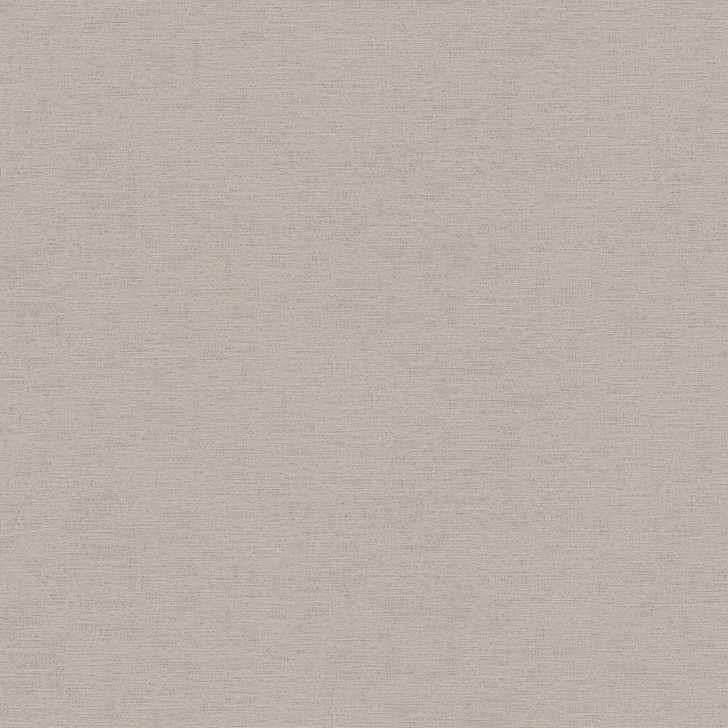 PROFHOME 306894-GU Ton-in-Ton Tapete Uni Matt Grau 0,53 m x 10,05 m 5,33 m2 günstig online kaufen