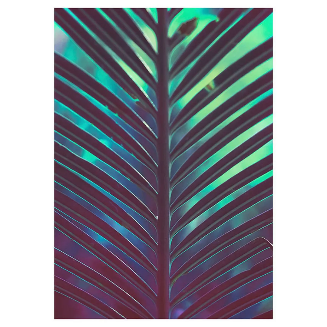 Komar Wandbild Hide Palmenblätter B/L: ca. 50x70 cm günstig online kaufen