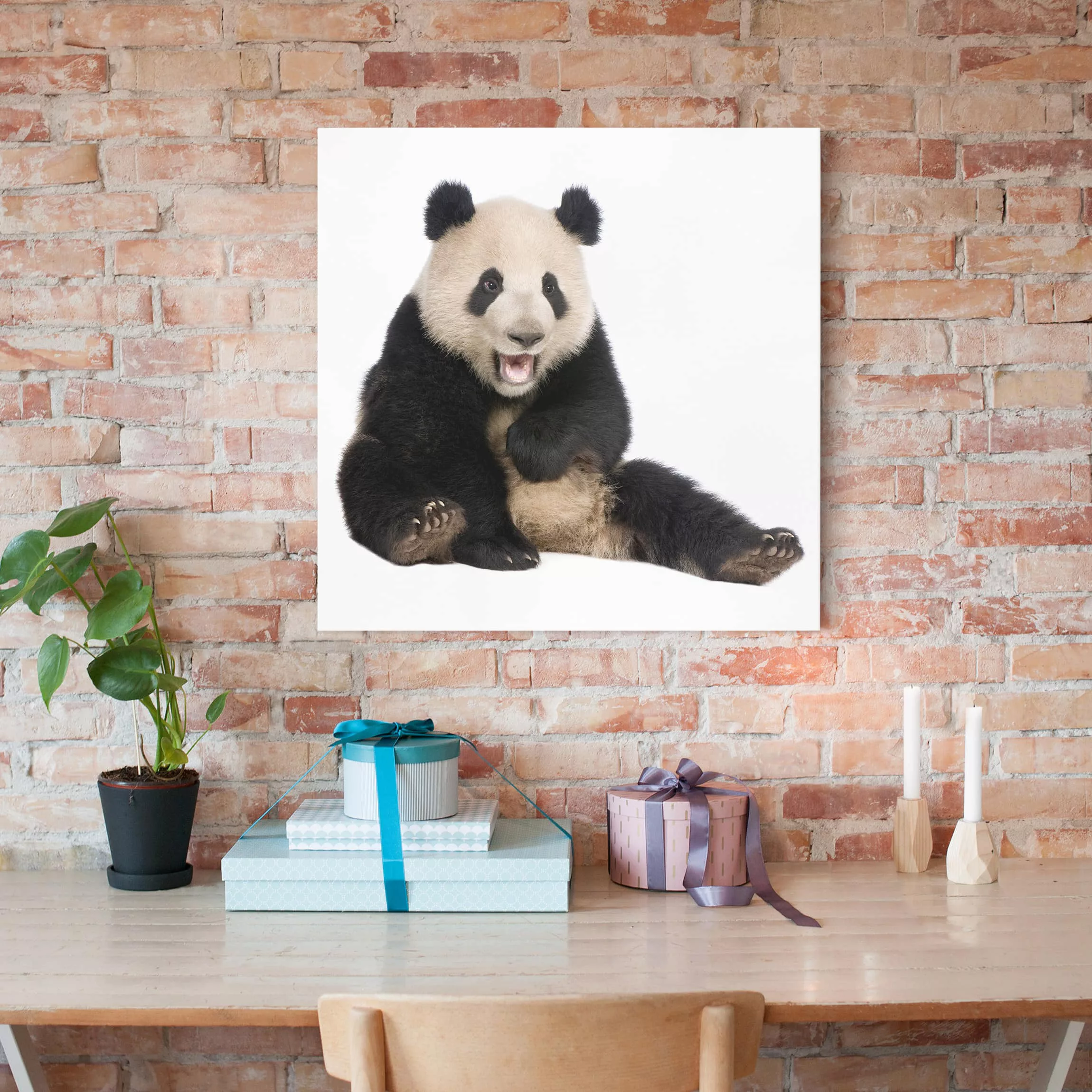 Leinwandbild Tiere - Quadrat Lachender Panda günstig online kaufen