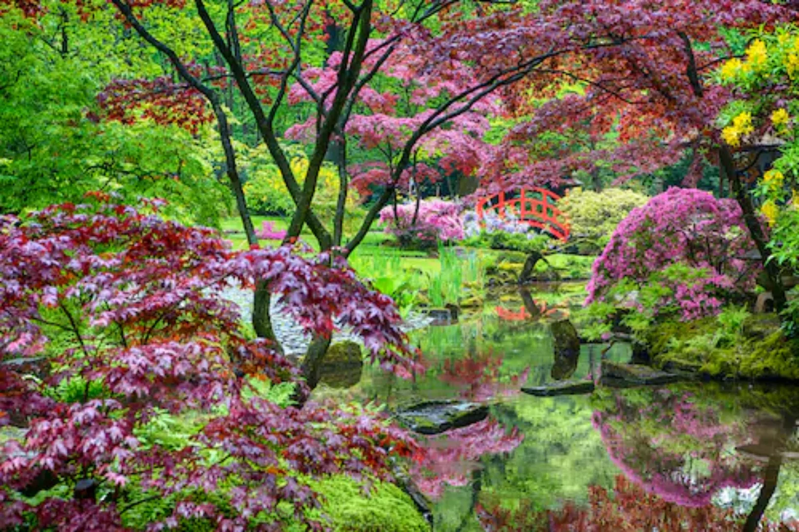 Papermoon Fototapete »GARTEN-BLUMEN BÄUME PFLANZEN PARK STEINE BLÜTEN WALD« günstig online kaufen