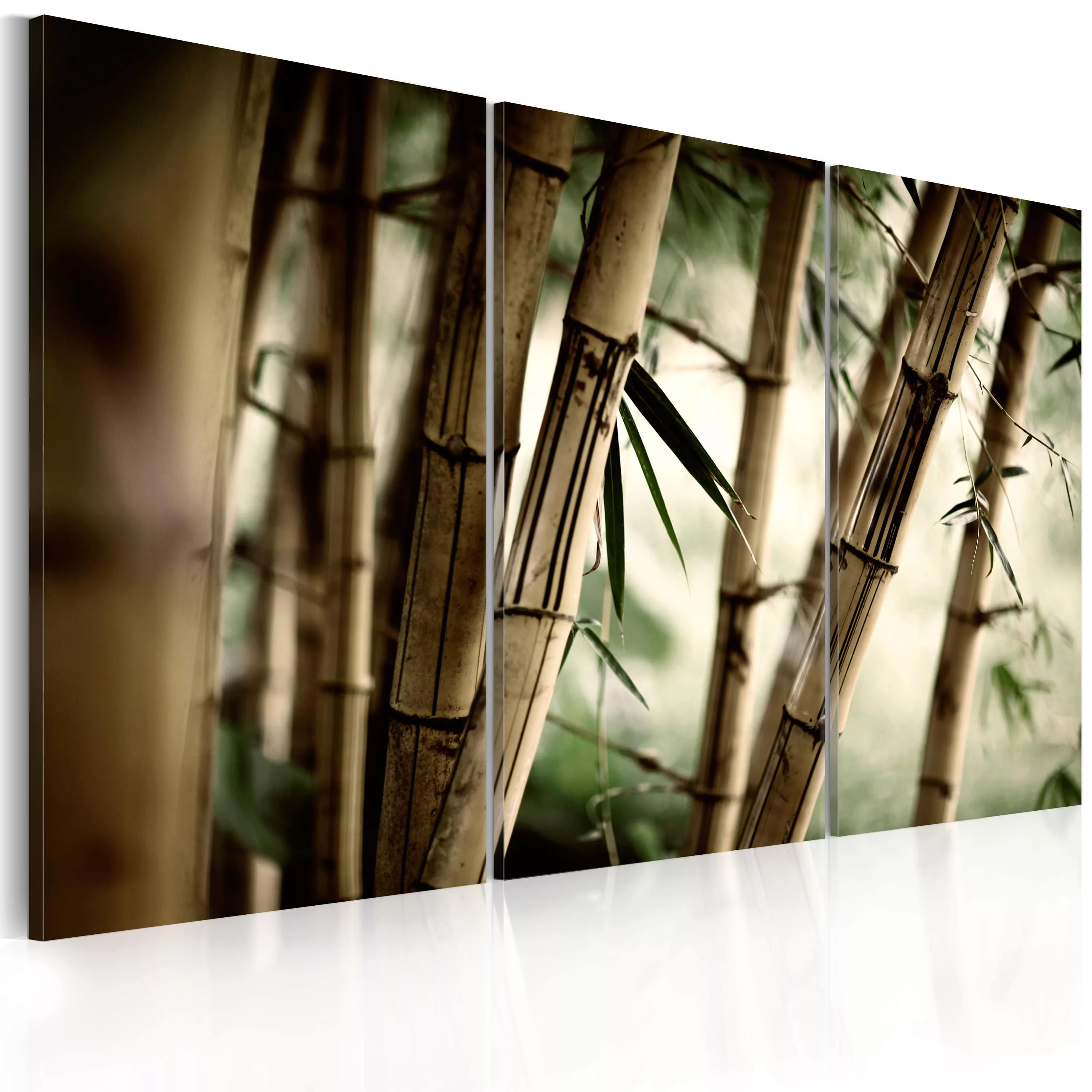 Wandbild - Bambus in den Tropen günstig online kaufen