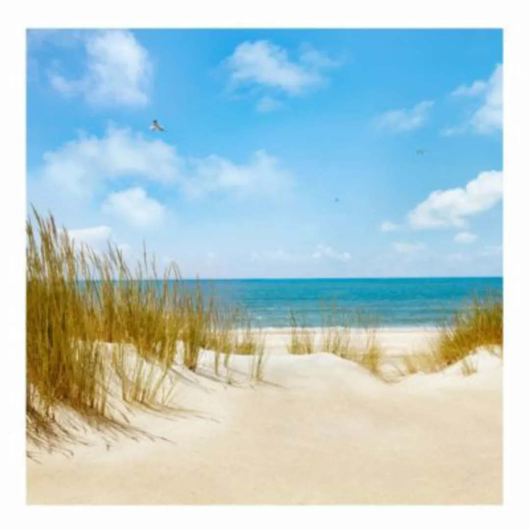 Bilderwelten Fototapete Strand Strand an der Nordsee creme Gr. 288 x 190 günstig online kaufen