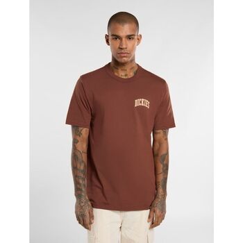 Dickies  T-Shirts & Poloshirts AITKIN CHEST - DK0A4Y8O-K471 CAPPUCCINO günstig online kaufen