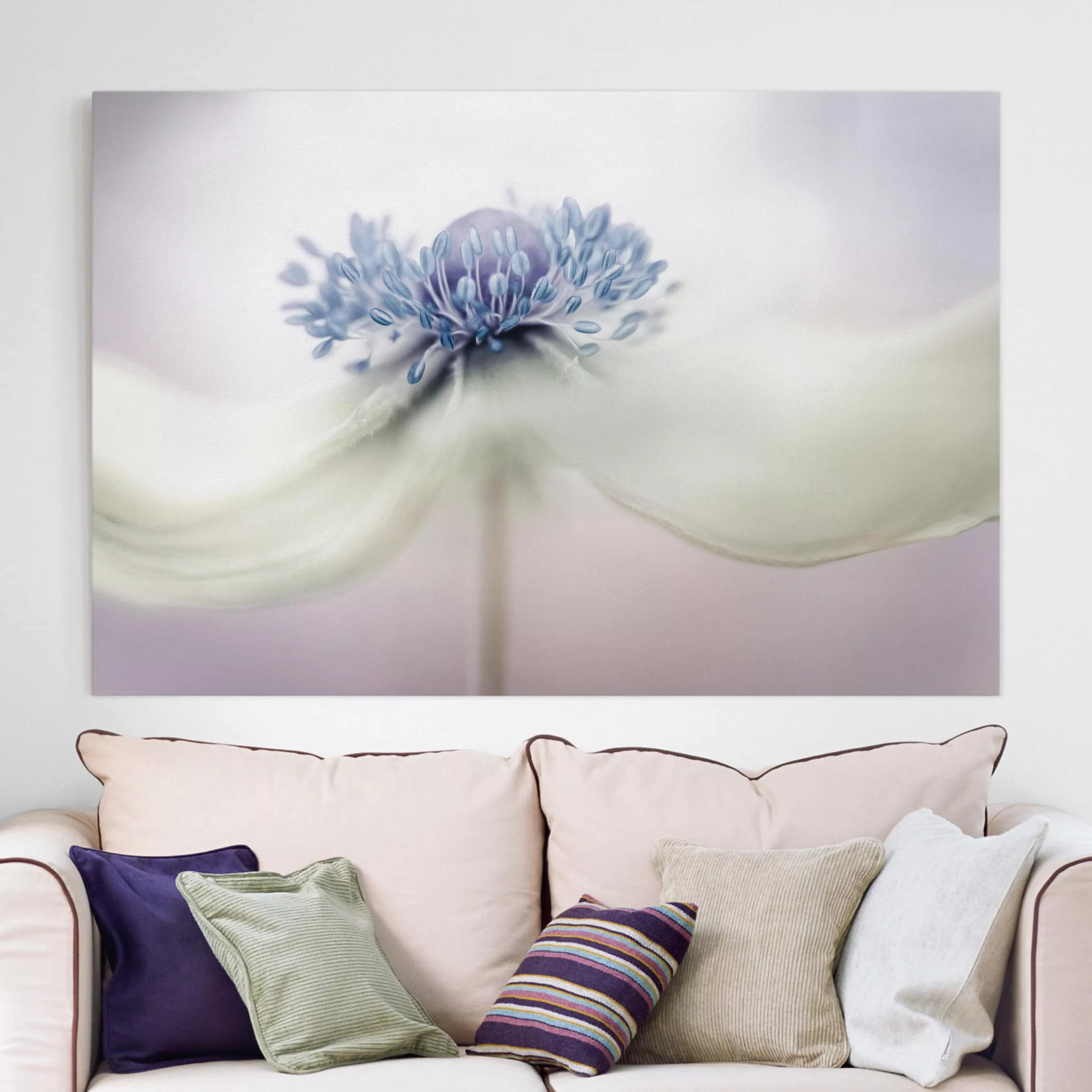 Leinwandbild Blumen - Querformat Anemone in Violett günstig online kaufen