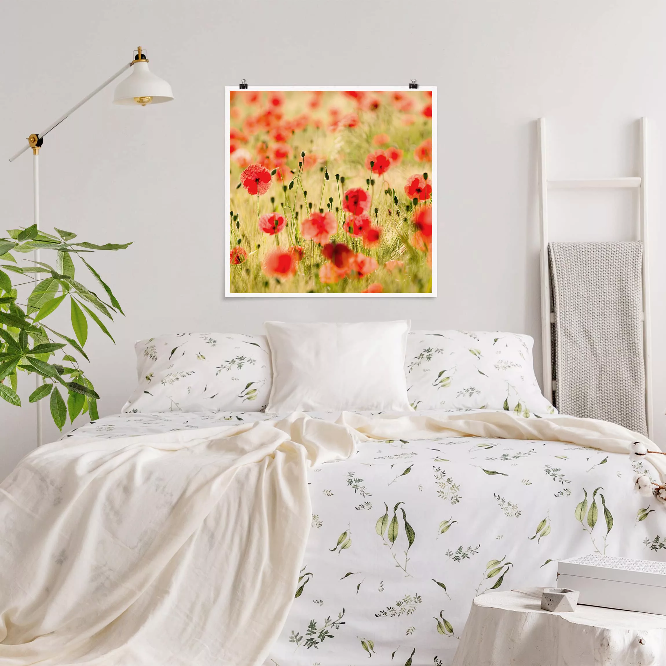 Poster Blumen - Quadrat Summer Poppies günstig online kaufen
