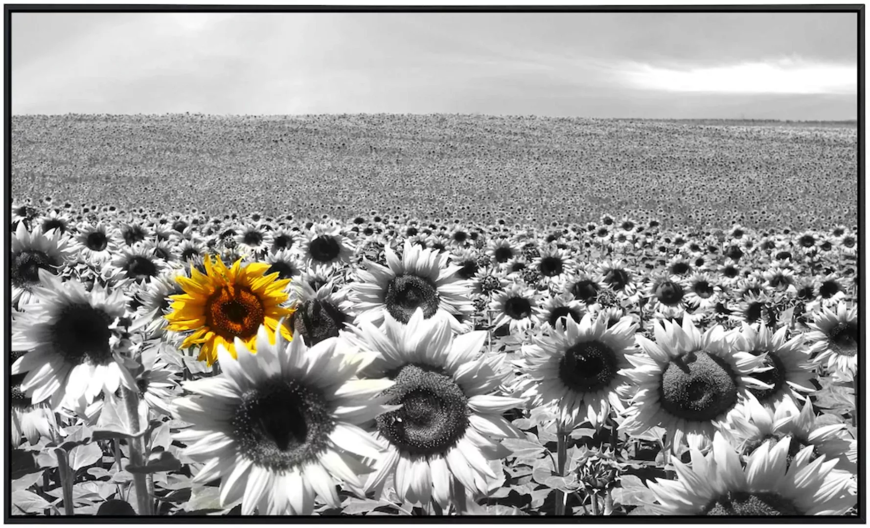 Papermoon Infrarotheizung »Sonnenblumenfeld«, sehr angenehme Strahlungswärm günstig online kaufen