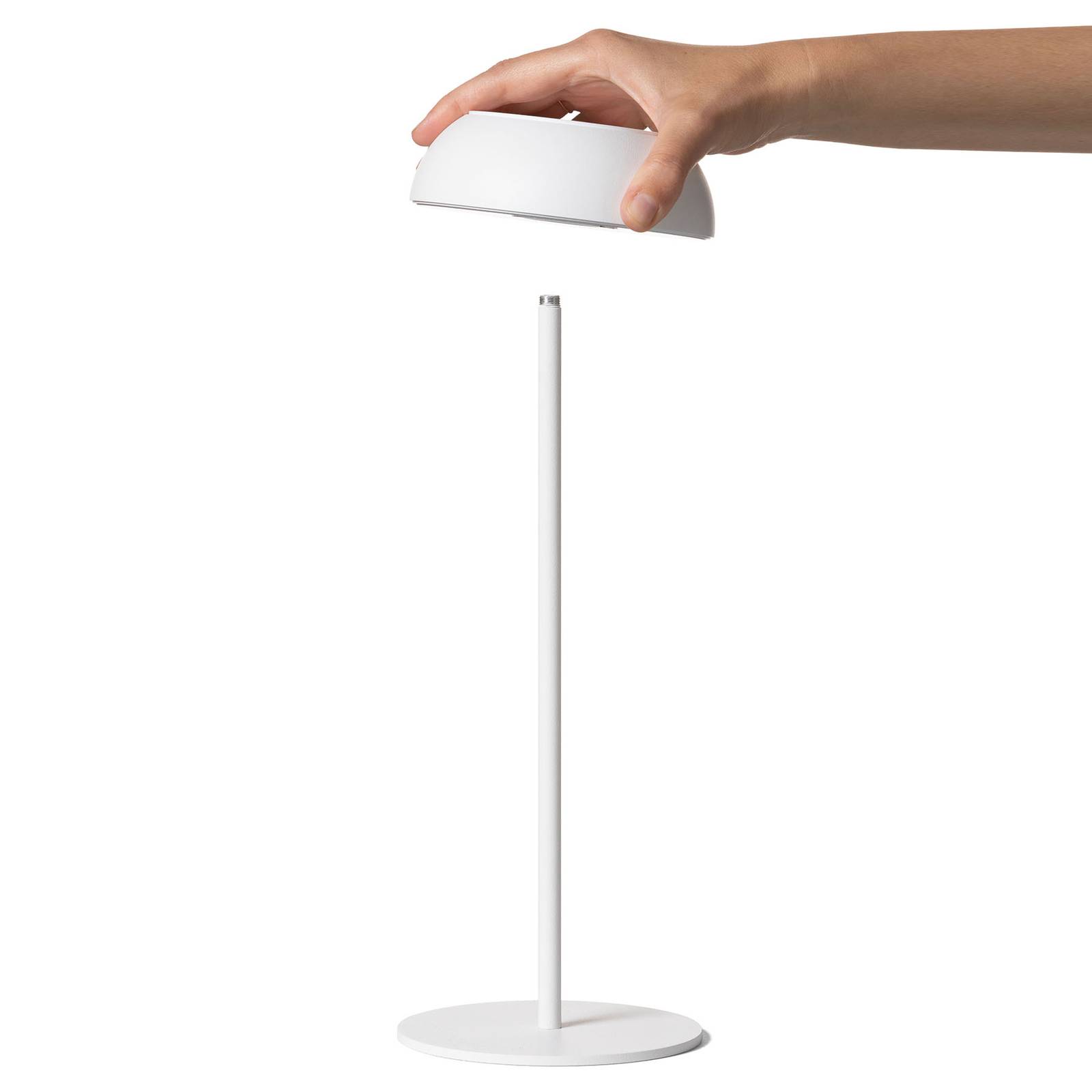 Axolight Float LED-Designer-Tischleuchte, weiß günstig online kaufen