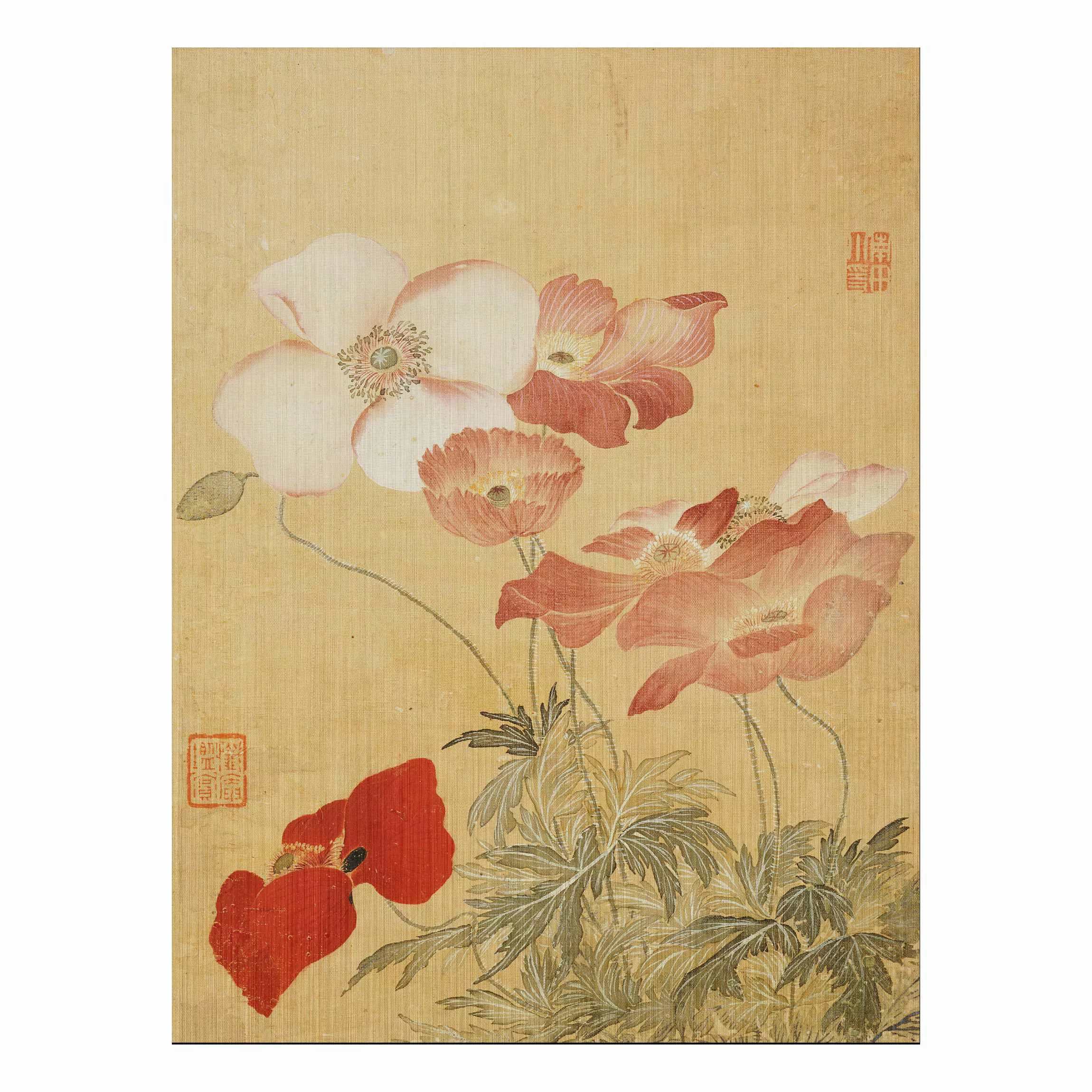 Alu-Dibond Bild Kunstdruck - Hochformat 3:4 Yun Shouping - Mohnblumen günstig online kaufen