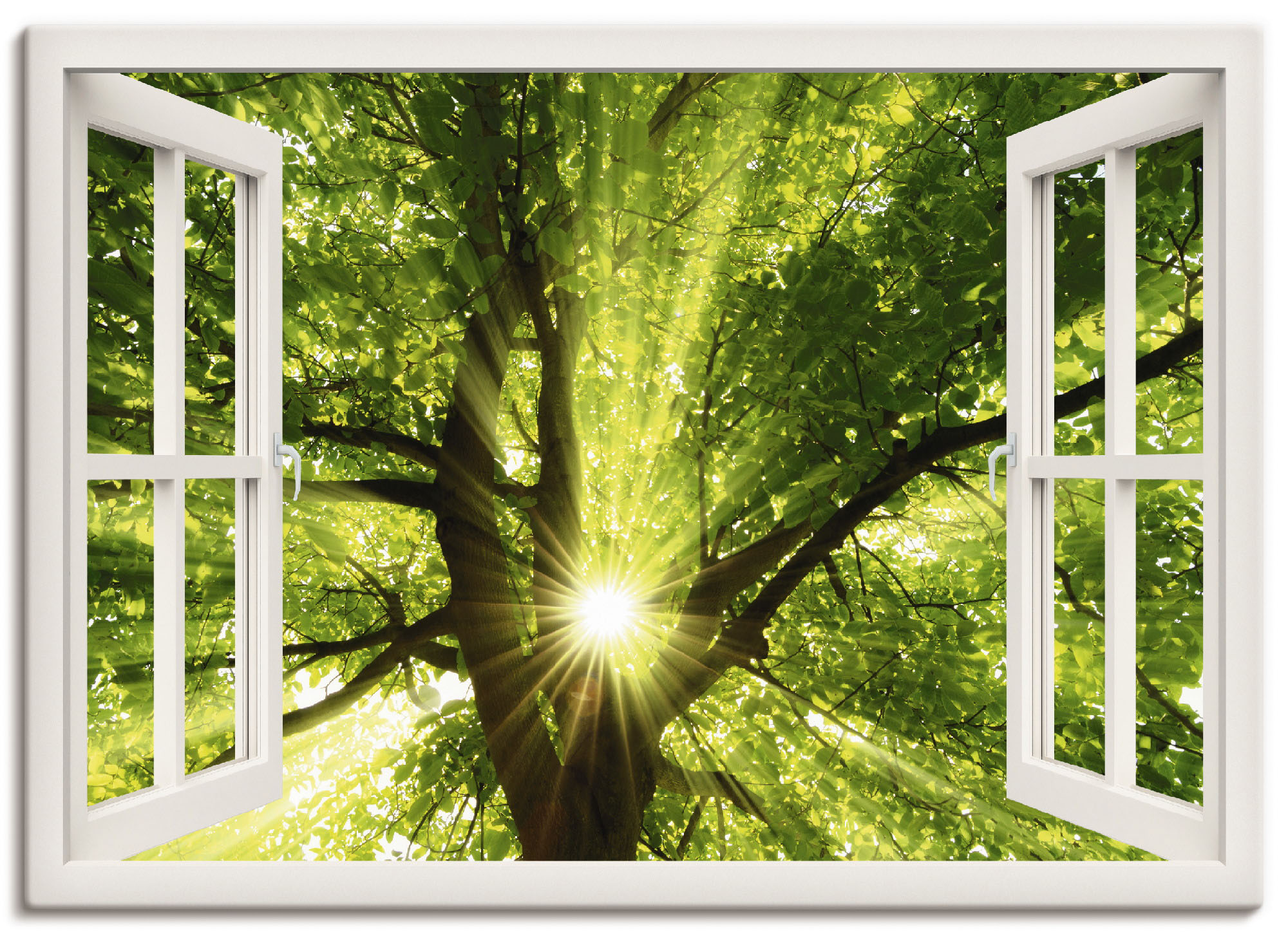 Artland Leinwandbild "Fensterblick Sonne strahlt durch Baum", Bäume, (1 St. günstig online kaufen