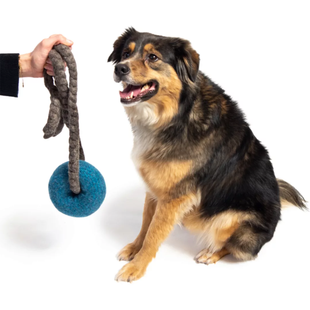 Hundespielzeug Zergel Frodo · 2-teilig günstig online kaufen