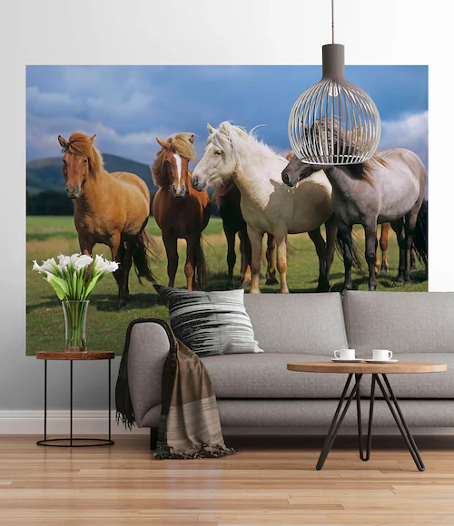 Komar Fototapete »Fototapete - Ponies - Größe 254 x 184 cm«, bedruckt günstig online kaufen
