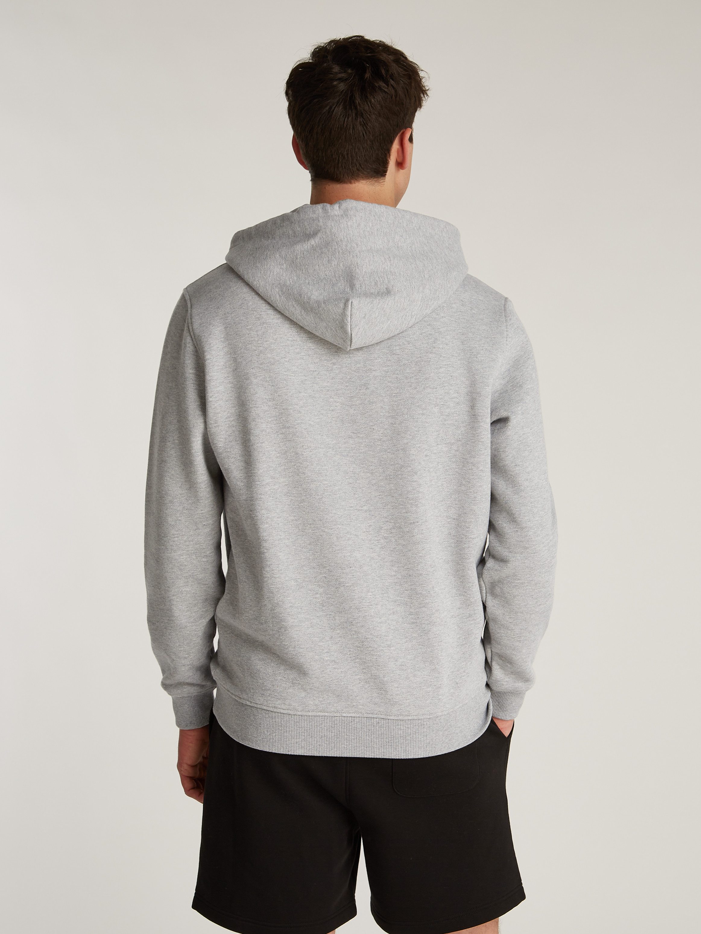 Tommy Jeans Hoodie TJM REG BADGE günstig online kaufen