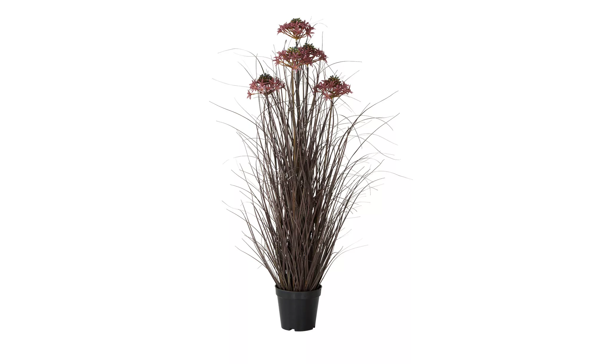 Grasbüschel mit Blüten ¦ rot ¦ Kunststoff ¦ Maße (cm): H: 89  Ø: 30 Accesso günstig online kaufen