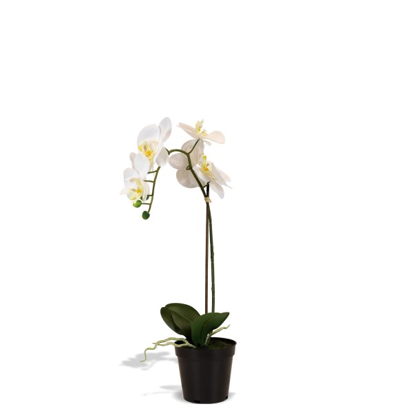 Orchidee Kunstpflanze, Höhe 50 cm, weiß günstig online kaufen