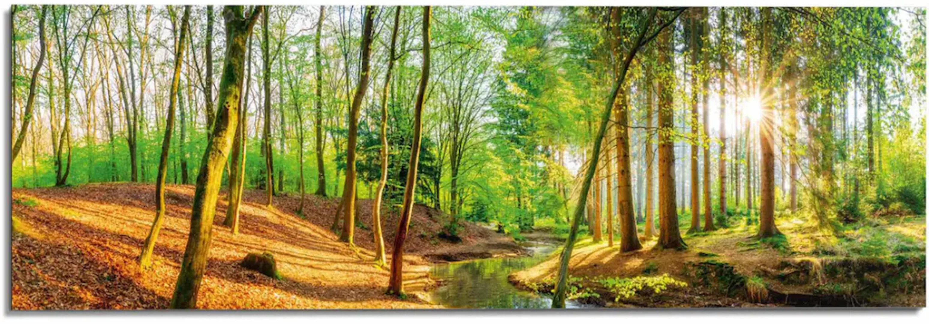 Reinders Wandbild "Sonniger Wald" günstig online kaufen