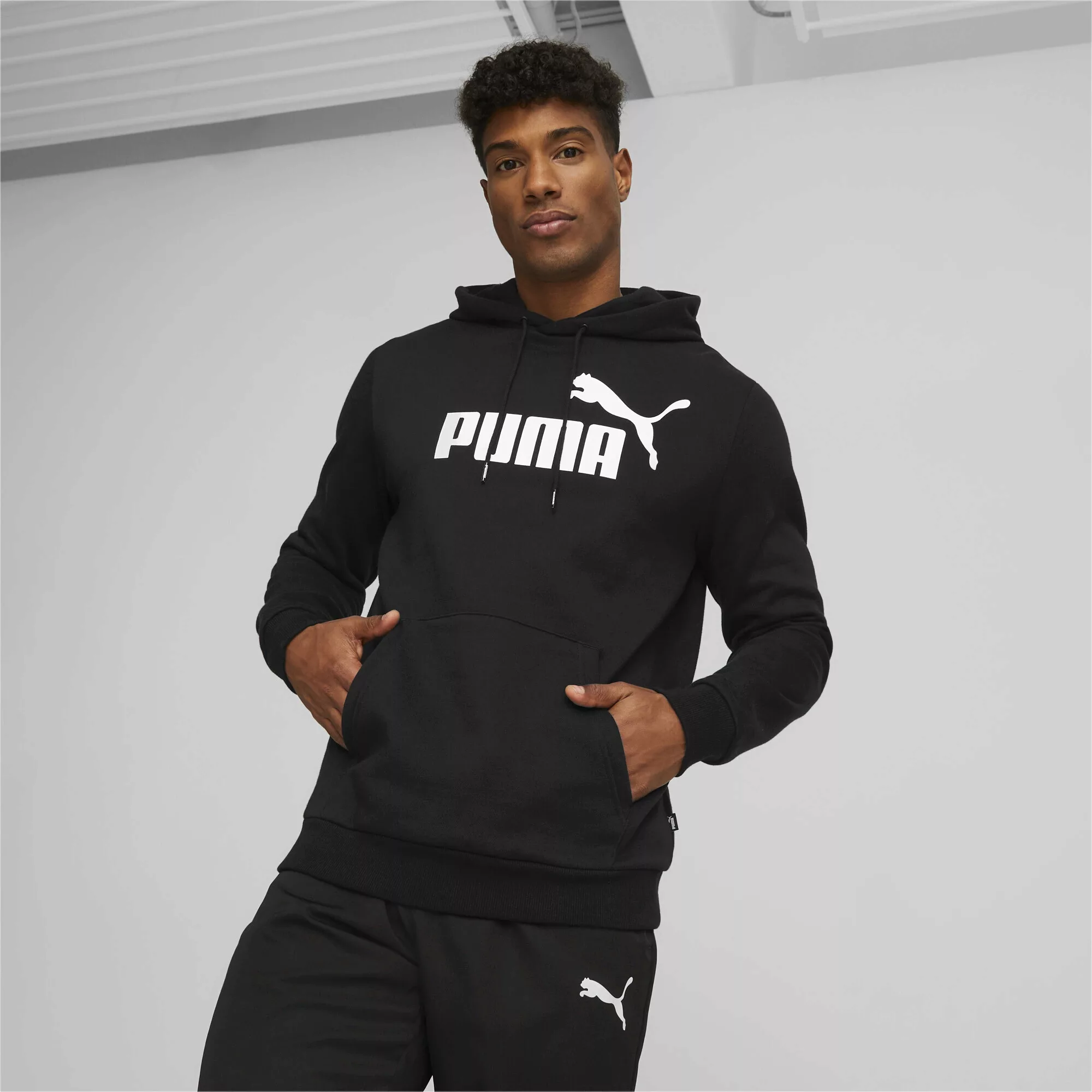 PUMA Kapuzensweatshirt ESS BIG LOGO HOODIE FL günstig online kaufen