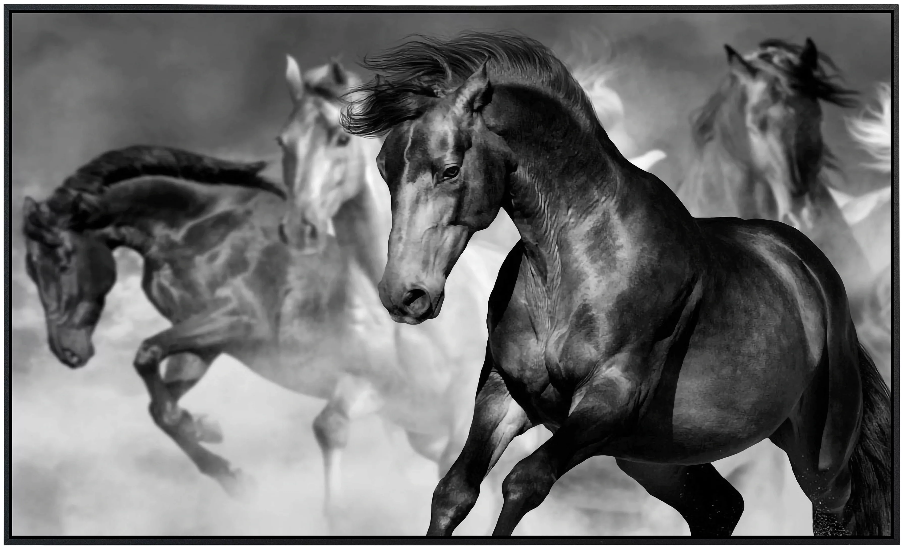Papermoon Infrarotheizung »Pferde Schwarz & Weiß« günstig online kaufen