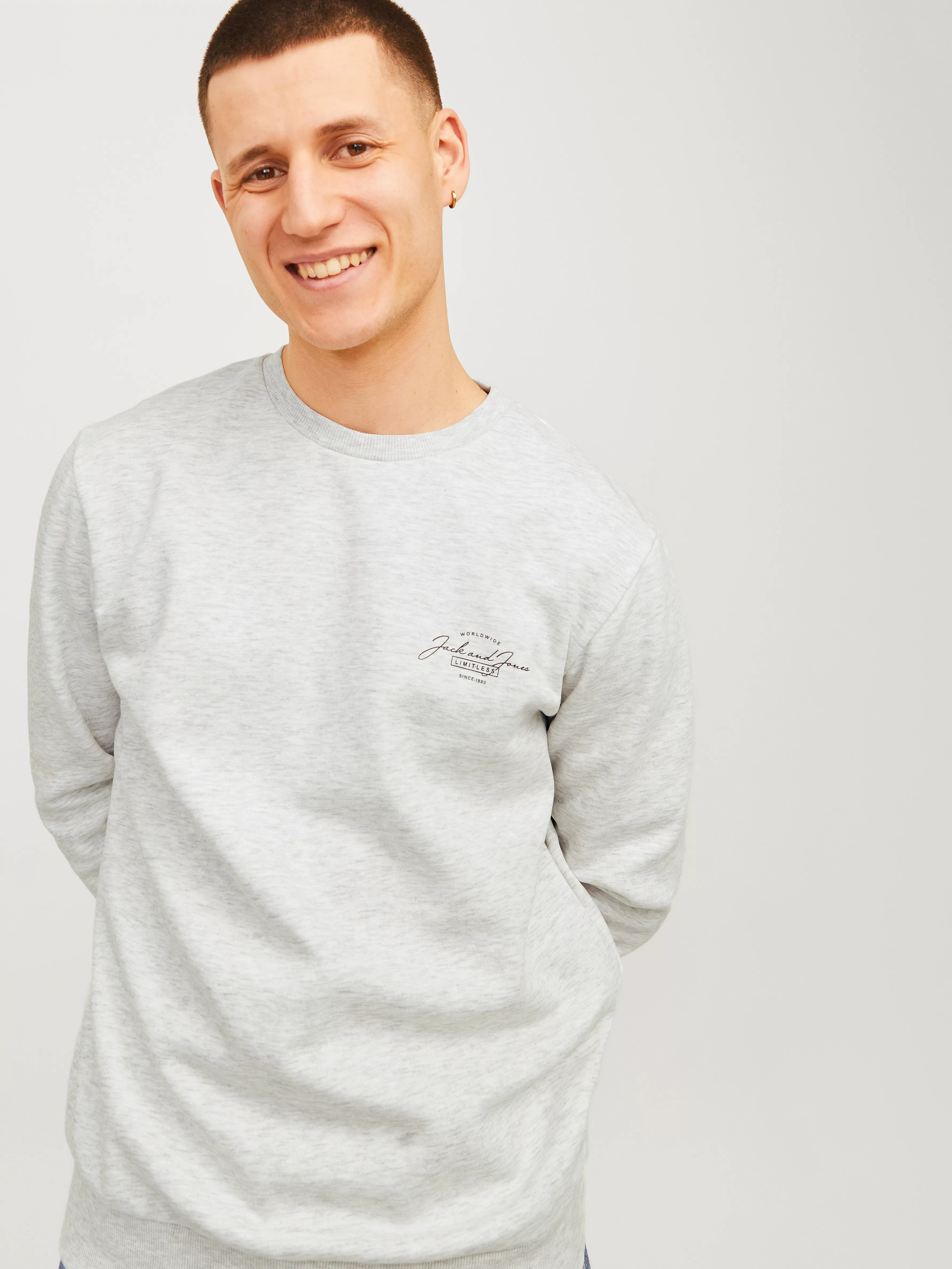 Jack & Jones Sweatshirt JJFERRIS SWEAT CREW NECK günstig online kaufen