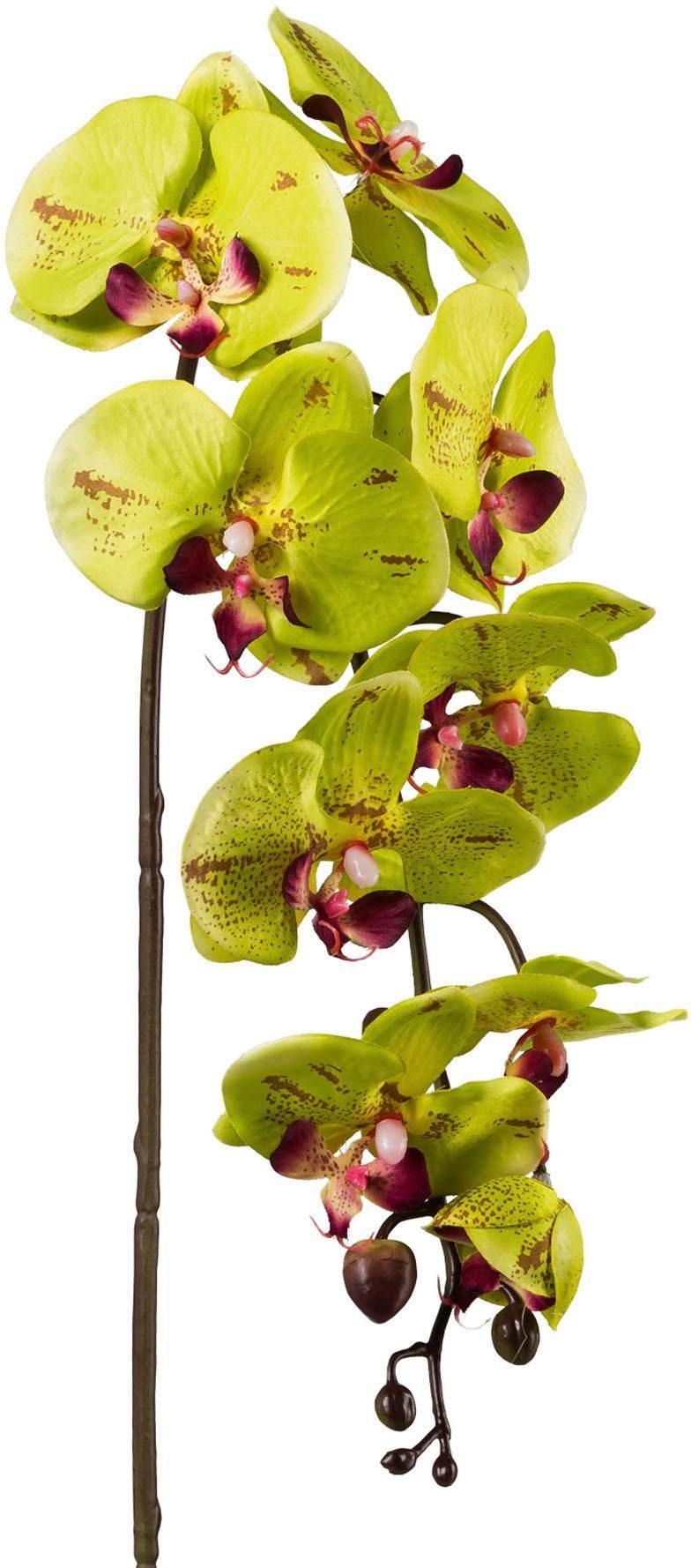 Kunstpflanze Orchidee, Creativ green, Höhe 98 günstig online kaufen